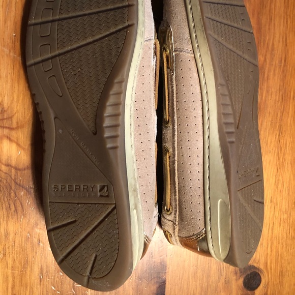 Sperry Angelfishes - Picture 2 of 4